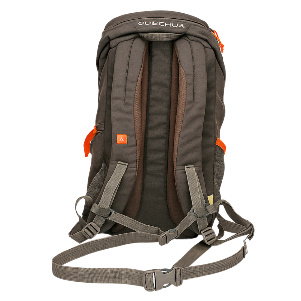 Rear view of the Quechua Arpenaz Backpack showing padded shoulder straps and adjustable chest buckle.